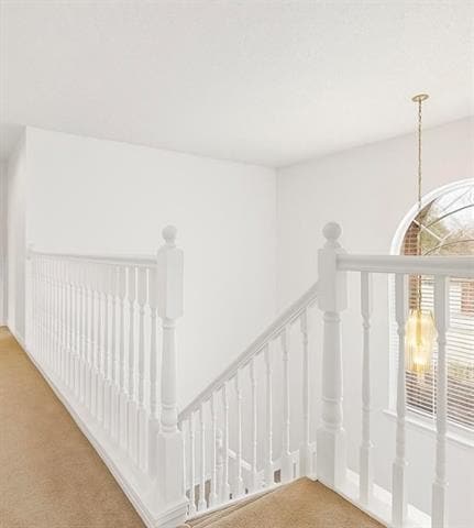 Building Photo - 2904 Champlin Ct