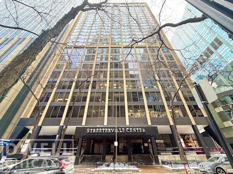 Building Photo - 233 E Erie St