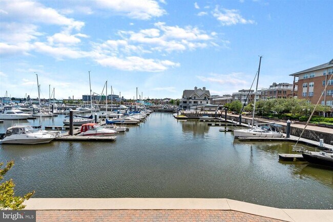 Building Photo - 100 Harborview Dr