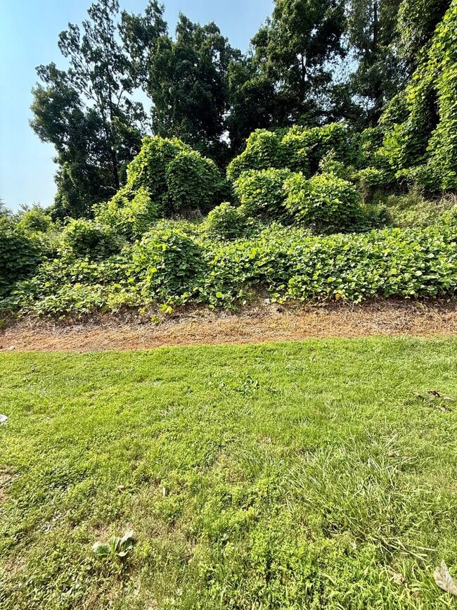 Building Photo - Great Oakwood Location- 3 bedroom, 2.5 bat...