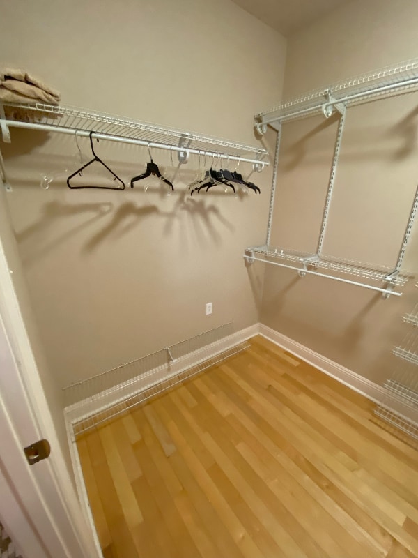 Building Photo - 3104 Moss Ln