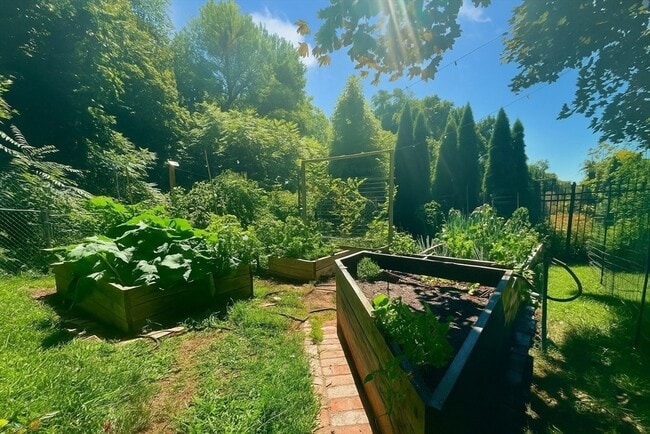 Building Photo - 177 Springfield St