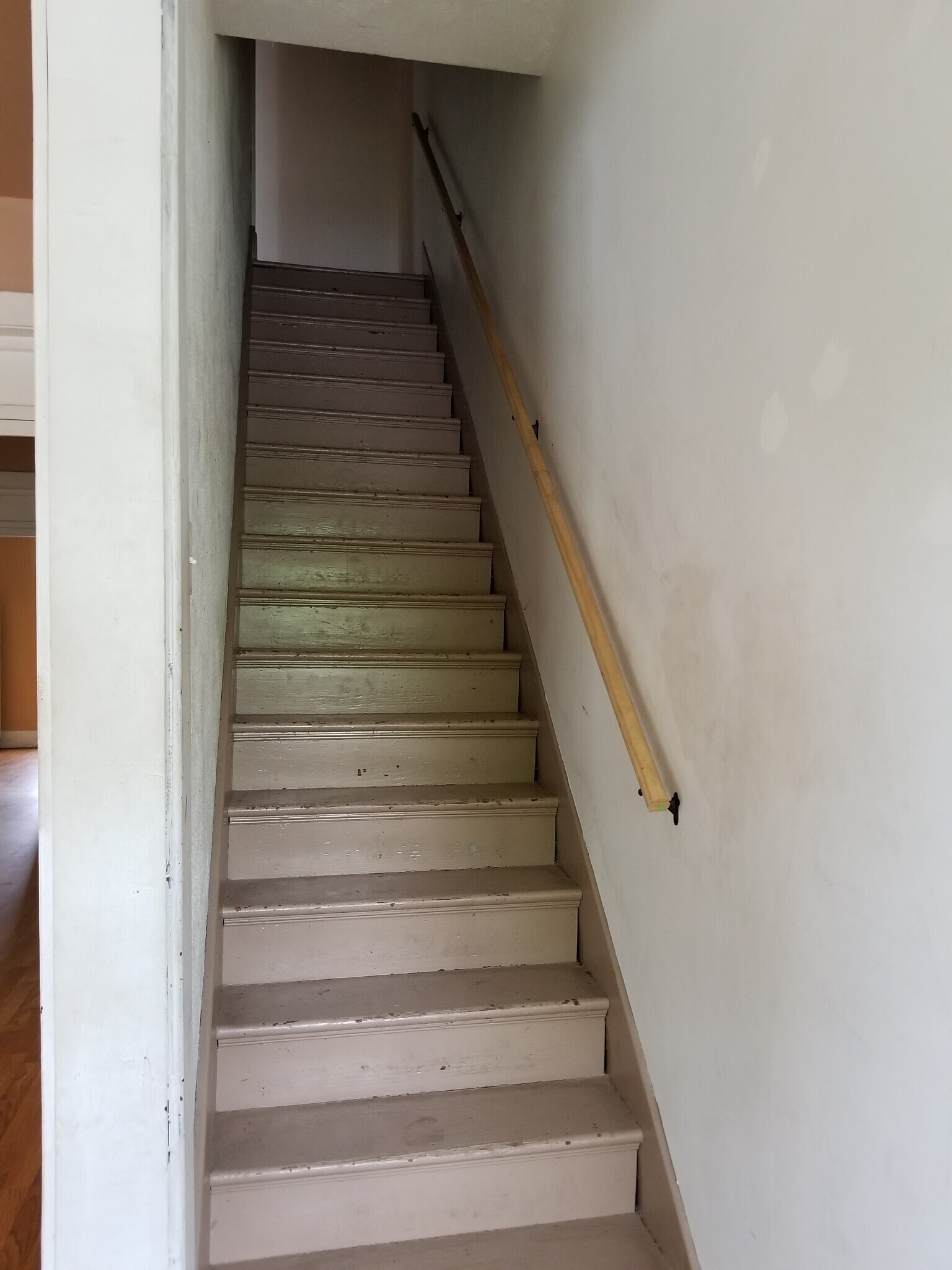 Stairs - 238 Richmond Ave