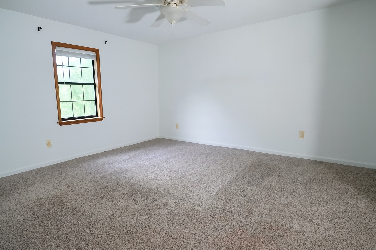 Spacious master with plush carpet, neutral tones, large window, and ensuite vanity. - 2313 Salem West Dr