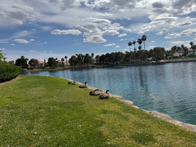 Building Photo - STUNNING DESERT SHORES MINUTES FROM THE LAKES!!!