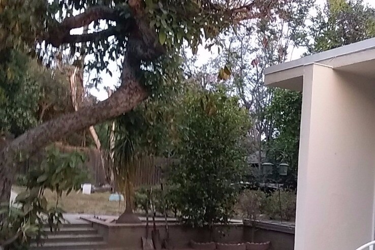 Back Yard - 1328 N Louise St
