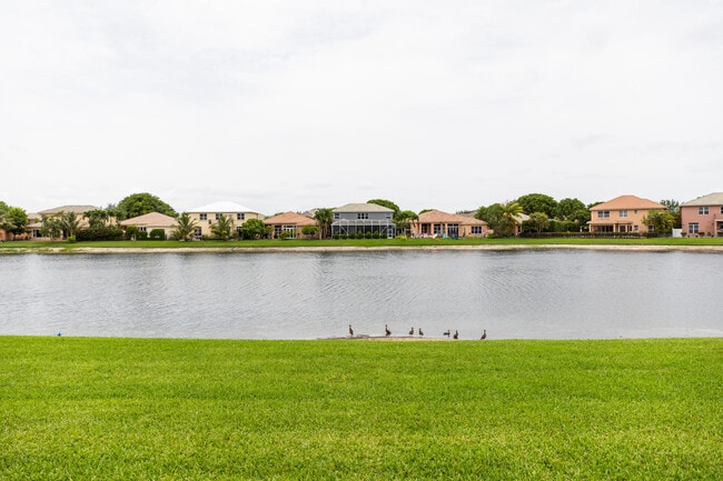 Building Photo - 3163 Osprey Ln
