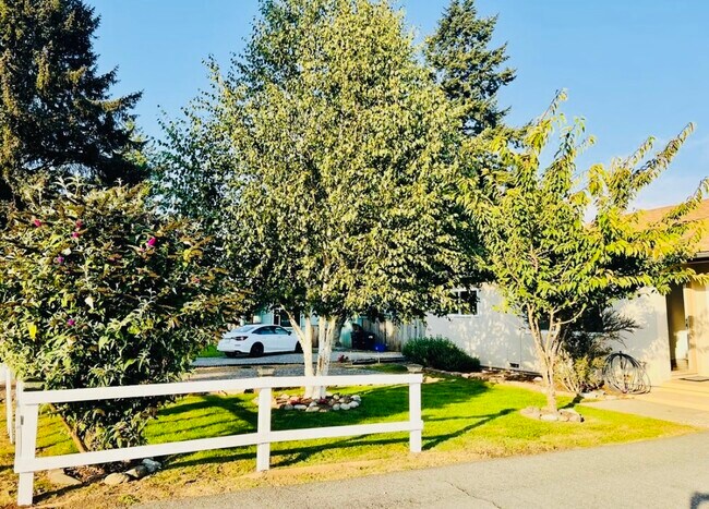 Building Photo - 337 Spruce Dr