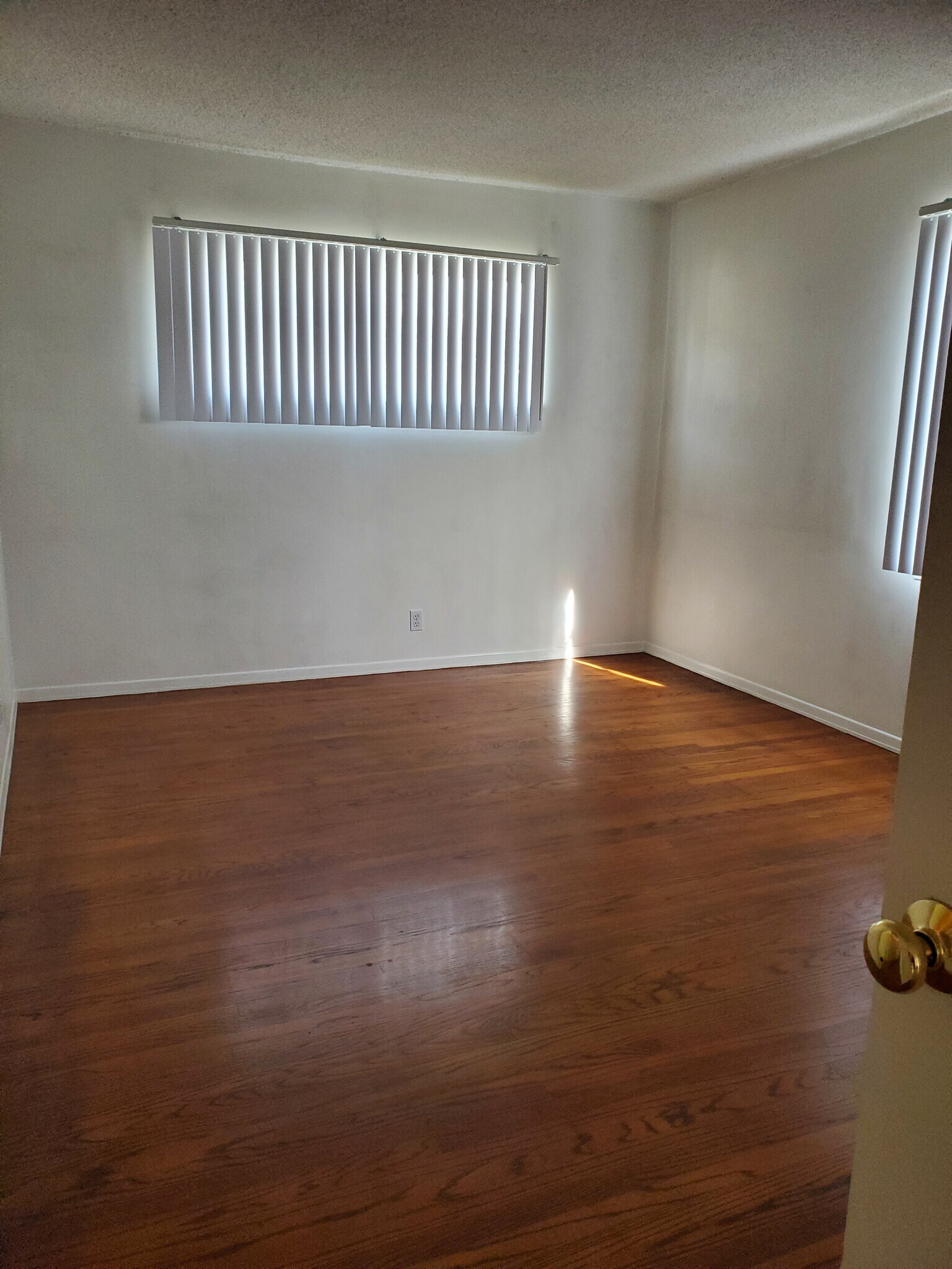 Building Photo - 237 Spring St