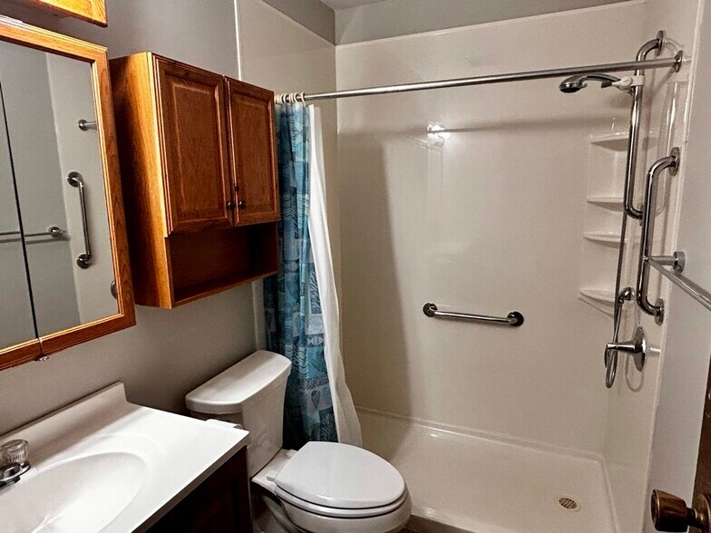 Main level bathroom - 694 Tilson St N
