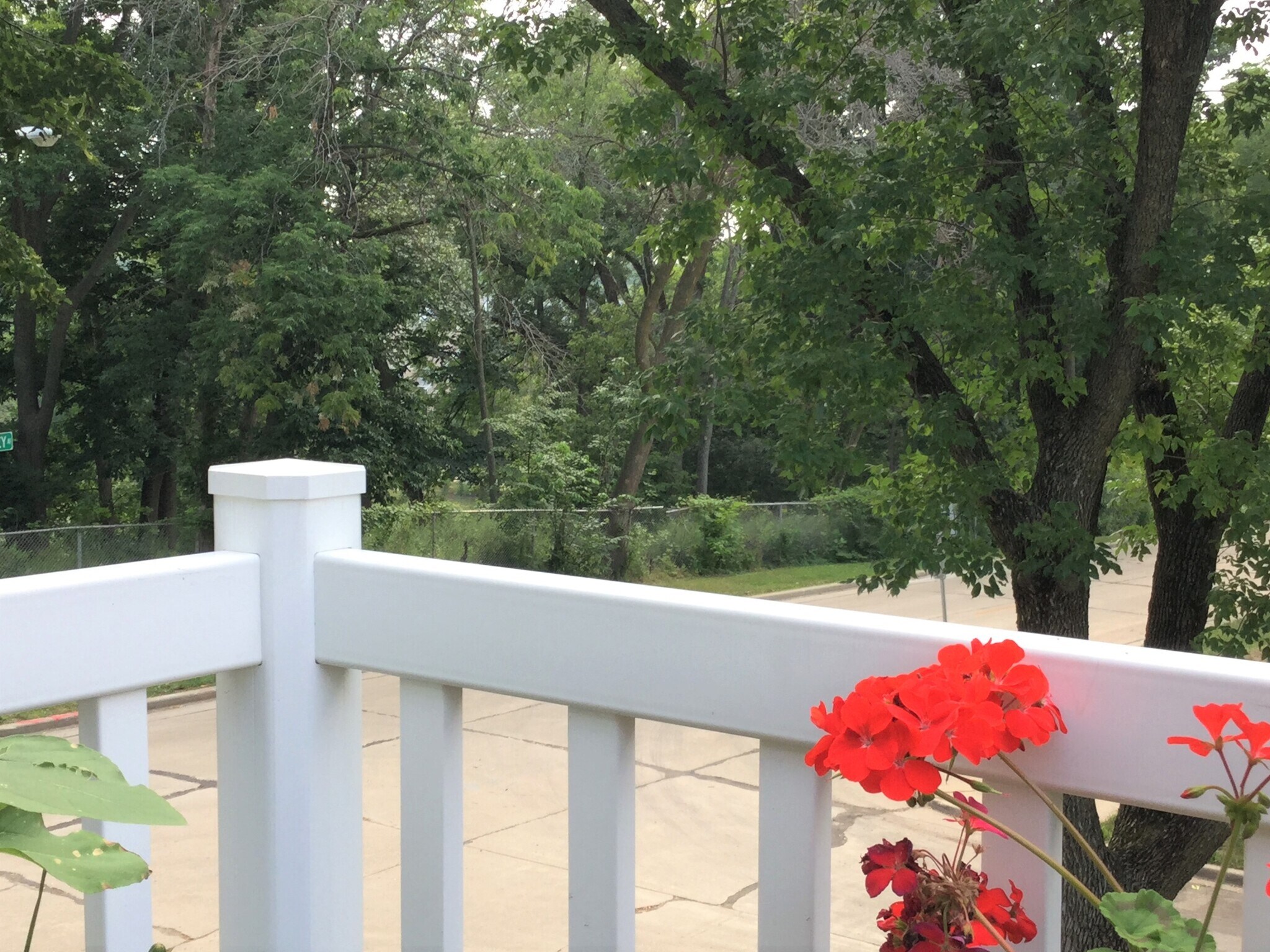 Front porch and view from it, a nature lover's view - 1302 N 58th St