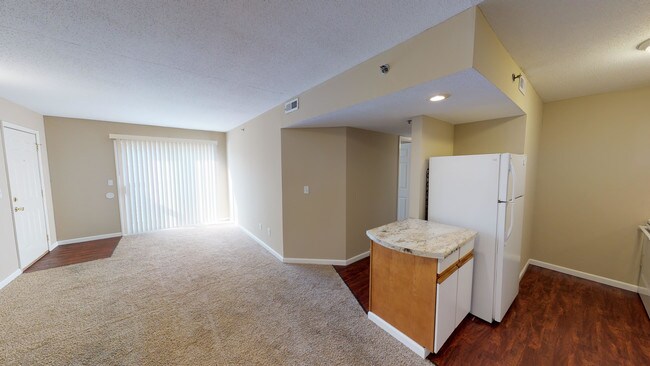 Creekside -Kitchen / Living Room - Mountain Valley Properties -Carbondale