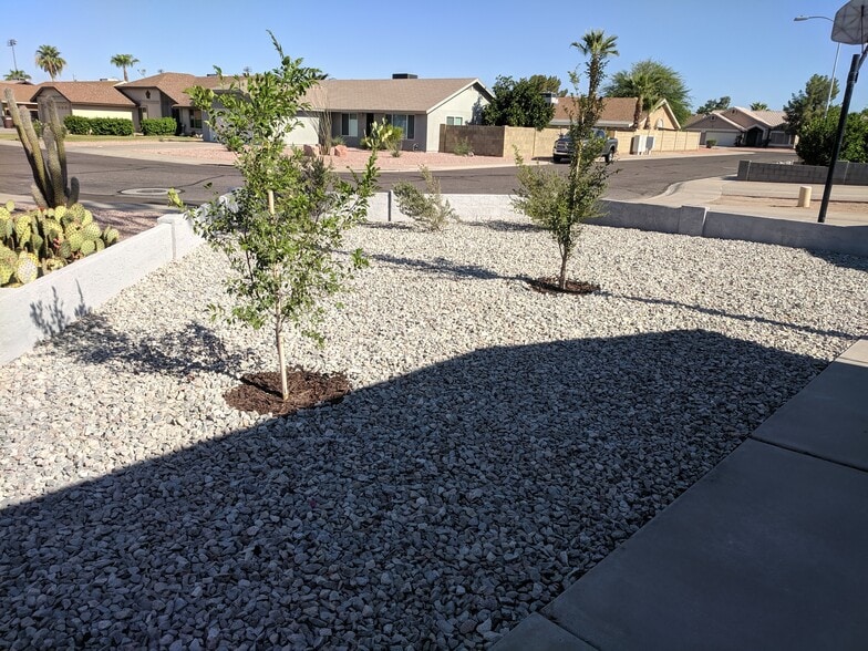 Front Yard - 2 Elms and 1" Granite rock (Grey) - 14101 N 78th Dr
