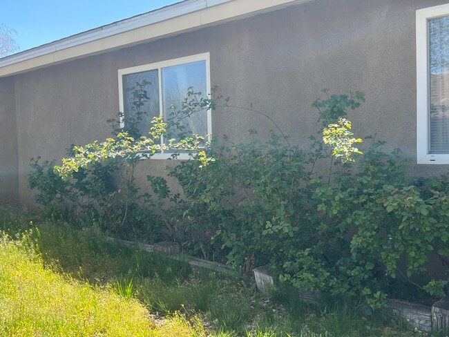 Building Photo - 5200 Mariposa Dr NW