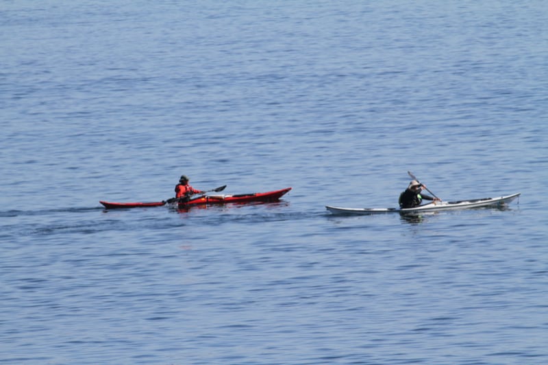 Building Photo - 585 Raccoon Point Rd