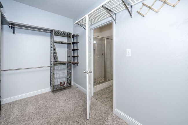 Building Photo - 1013 Silverbell Cv