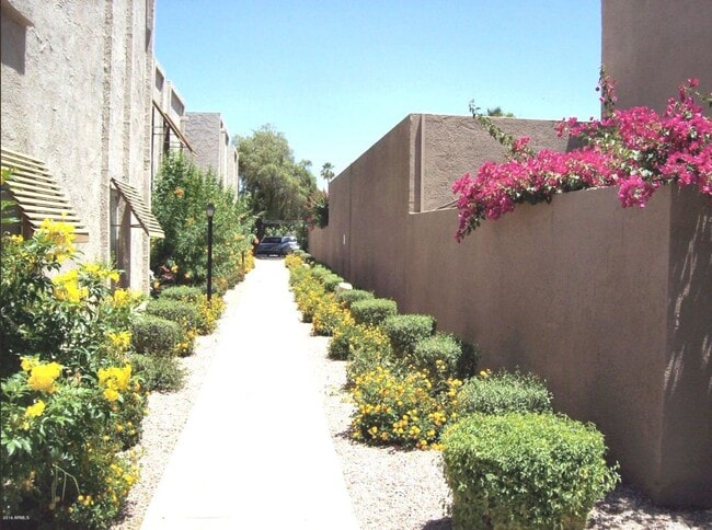 Building Photo - Scottsdale