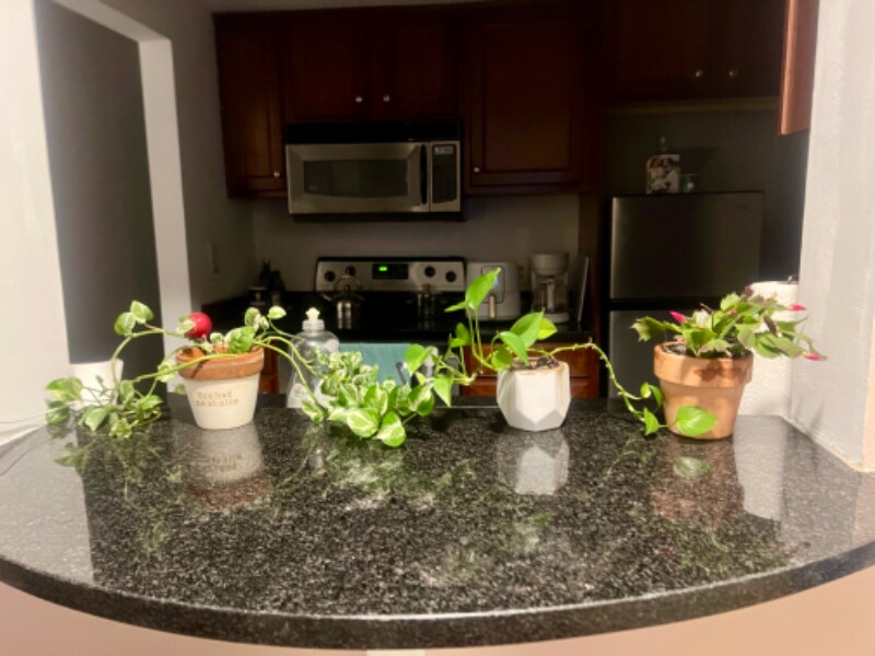 Building Photo - 1280 WPS