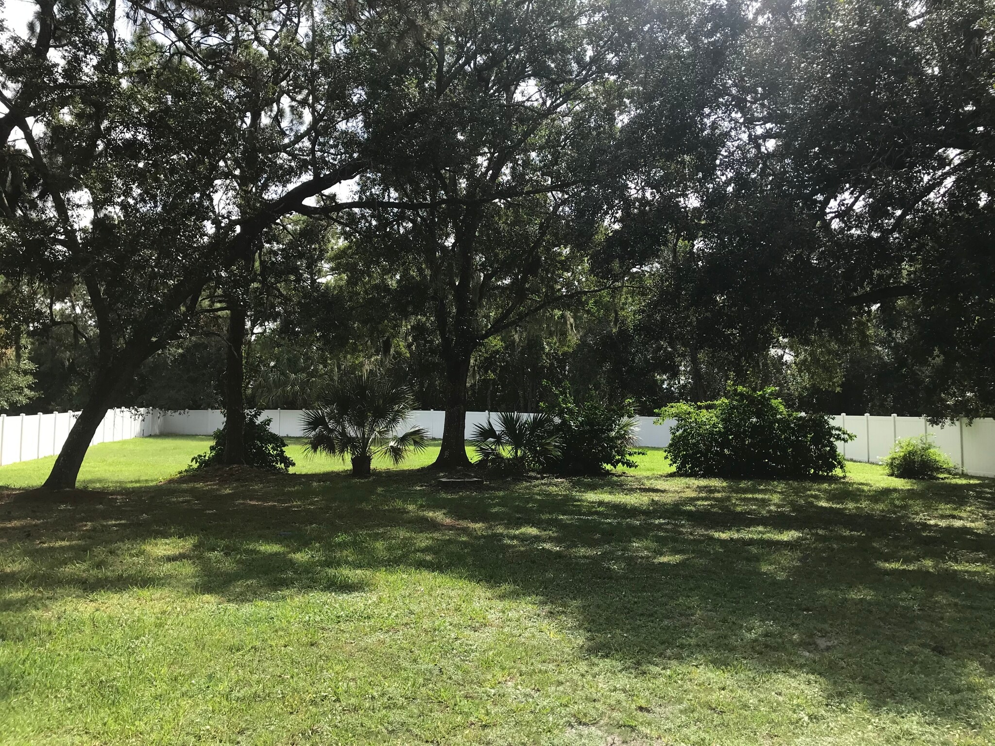 Backyard - 760 Riviera Dr NE