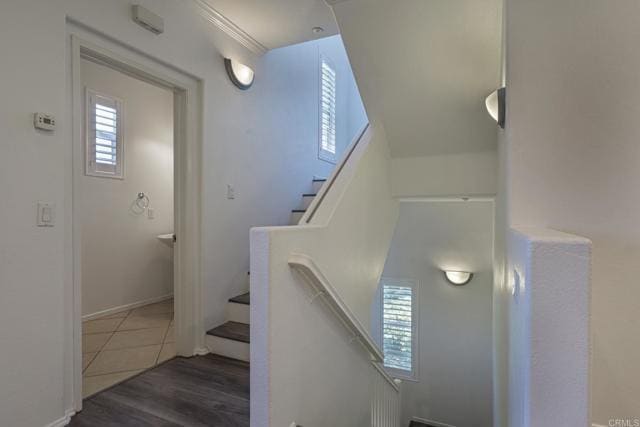 Building Photo - 1382 Dandelion Way