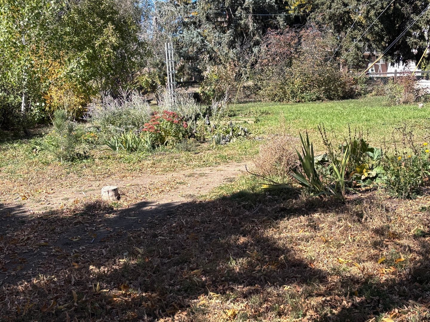 Building Photo - 11065 Pinyon Dr