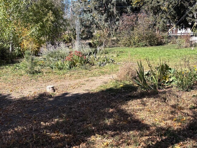 Building Photo - HUGE 4B/3b house on .4 acre lot.  3300sqft with oversize 2 car garage.