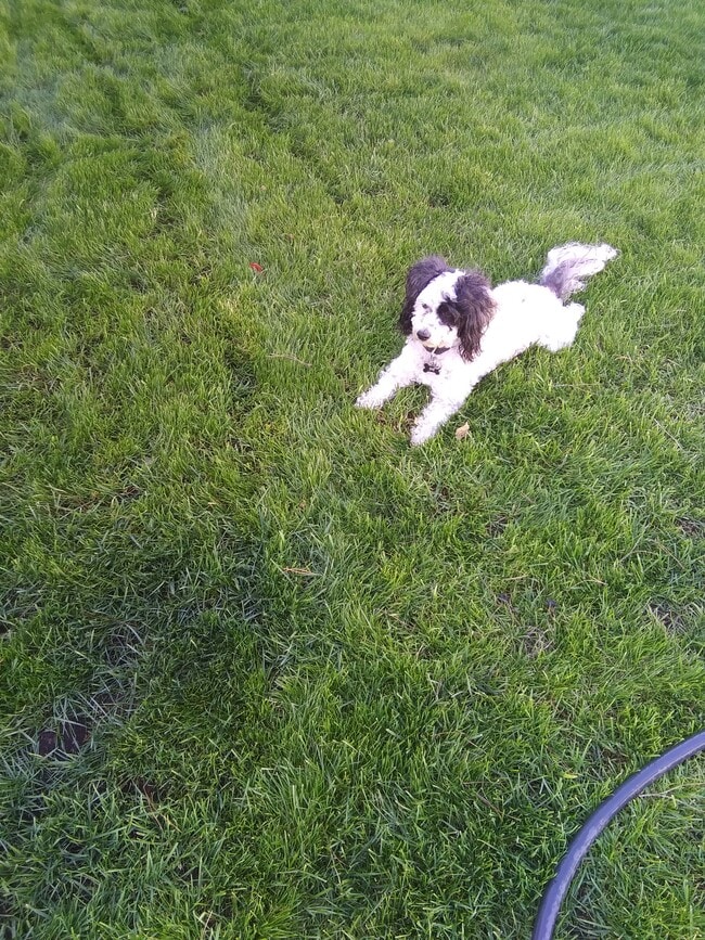 Building Photo - 6445 W 87th St