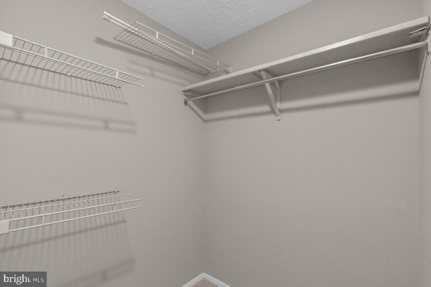 Building Photo - 12415 Hickory Tree Way