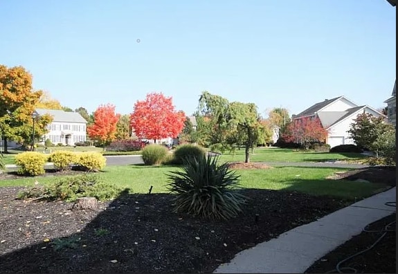 Back of the house - 1006 Glendevon Dr