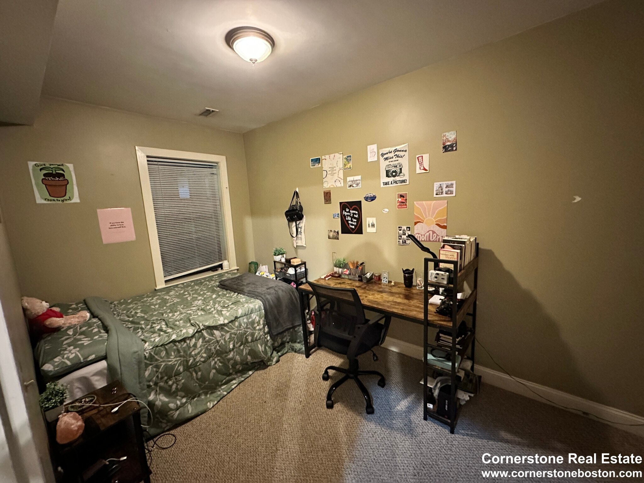 Building Photo - 31 Cunard St