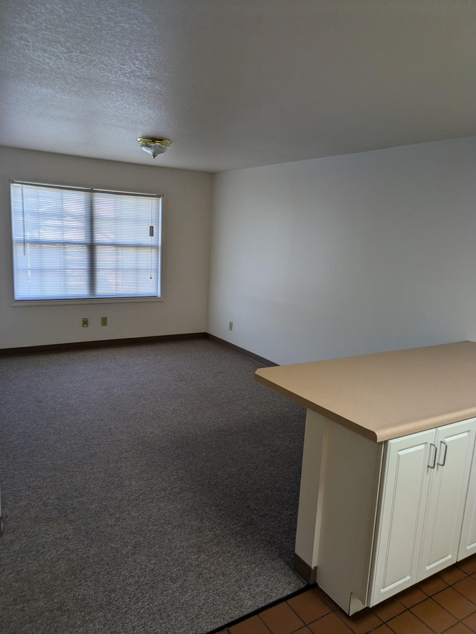 Living room area - 223 S Camp Ave