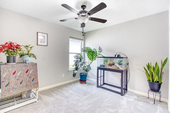 Building Photo - 2436 Nogales Dr