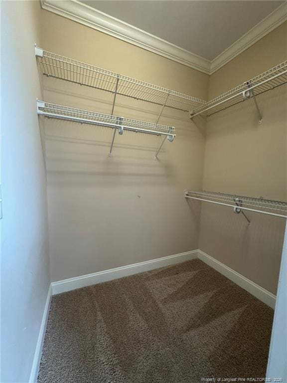 Building Photo - 381 Gallery Dr