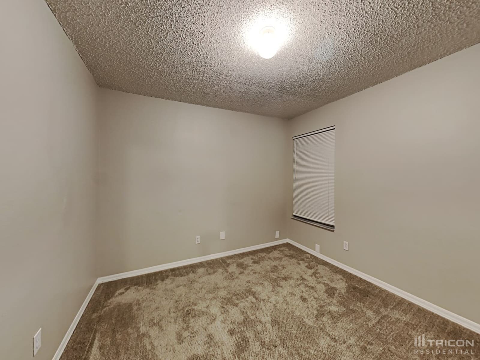 Building Photo - 1708 Scotch Pine Dr