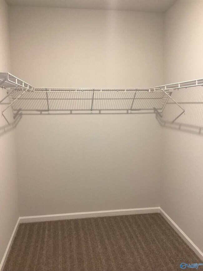 Building Photo - 231 Paca Ln
