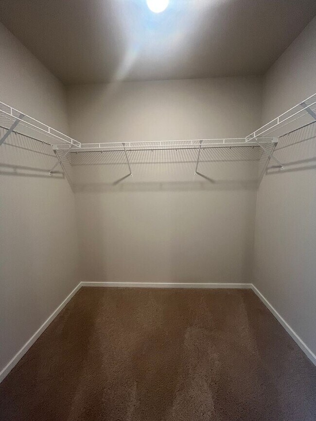 Building Photo - Brand New Home! 4- Bedroom 2 1/2- Bathroom