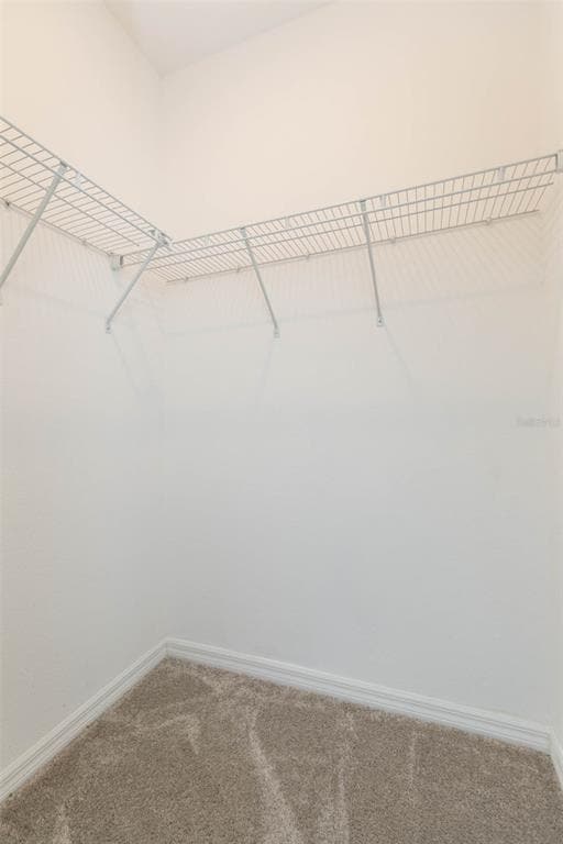 Building Photo - 1119 Lady Gouldian Ct