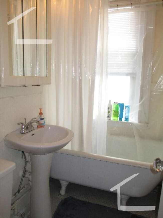 Building Photo - Amazing Allston two Bed Right on the Cusp of Brookline...