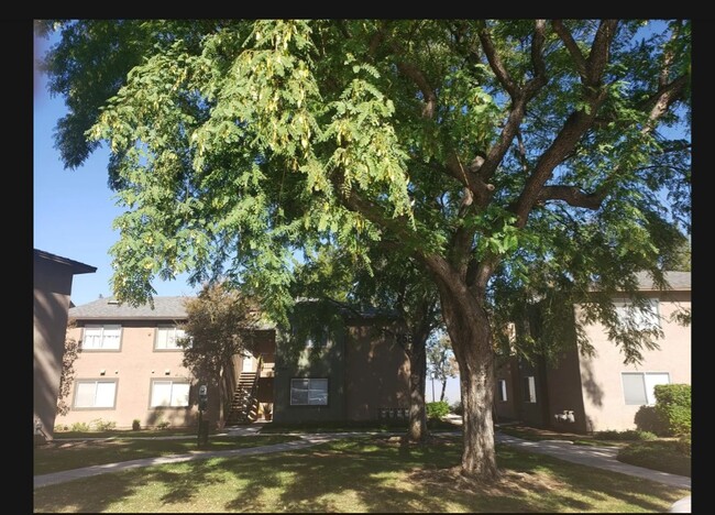 Building Photo - 2560 Avenida Del Vista