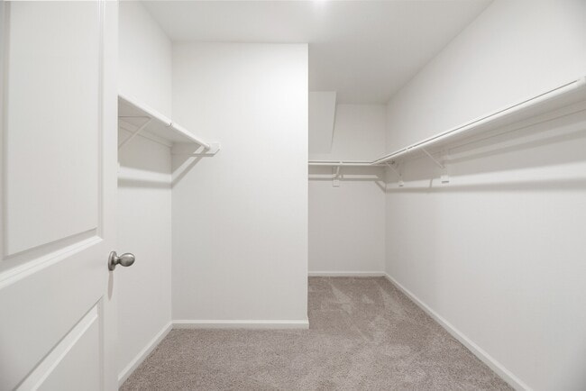 Building Photo - 3603 Admiralty Dr