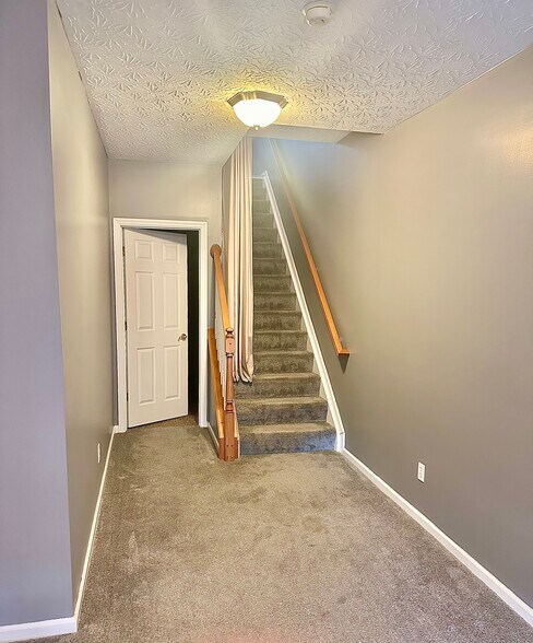 Lower Level - 2521 Ravine St