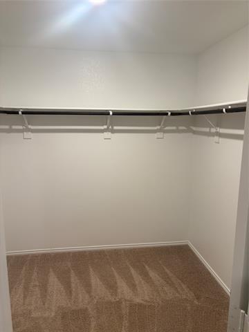 Building Photo - 5417 Vinebrook Wy