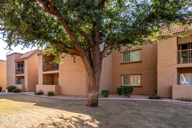 Building Photo - 8260 E Arabian Trail