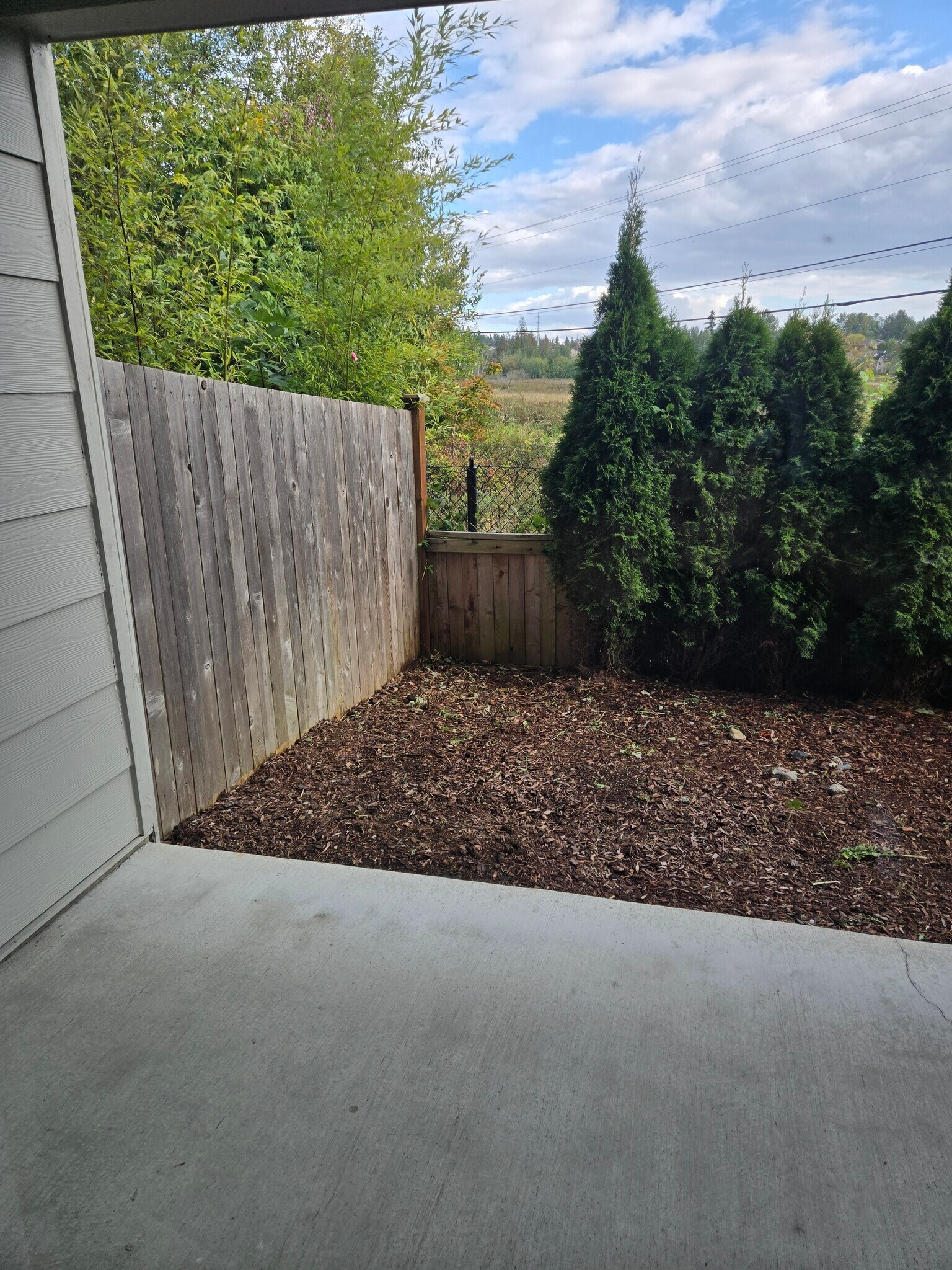 Backyard - 17905 35th Ave SE