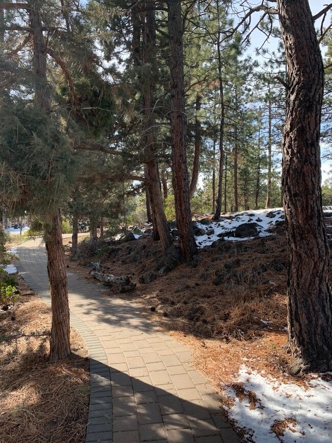Building Photo - CHECK OUT THIS SPACIOUS CRAFTSMAN STYLE HOME IN ASPEN RIM!!