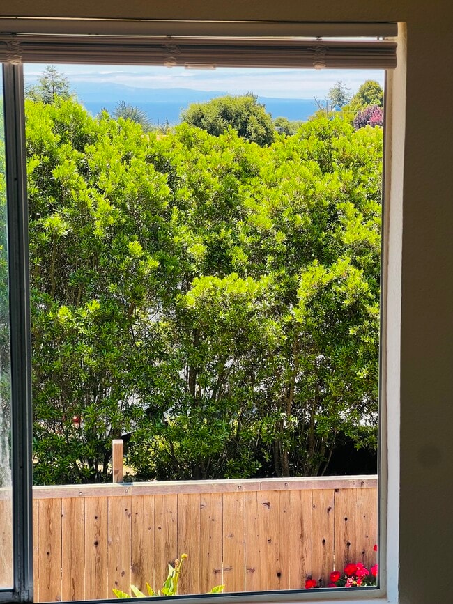 Building Photo - 405 Sailfish Dr
