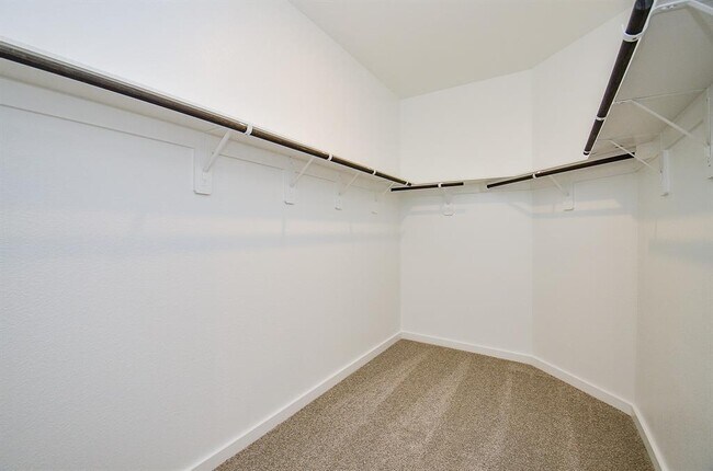 Building Photo - 3014 Long Smith Cottage Ct