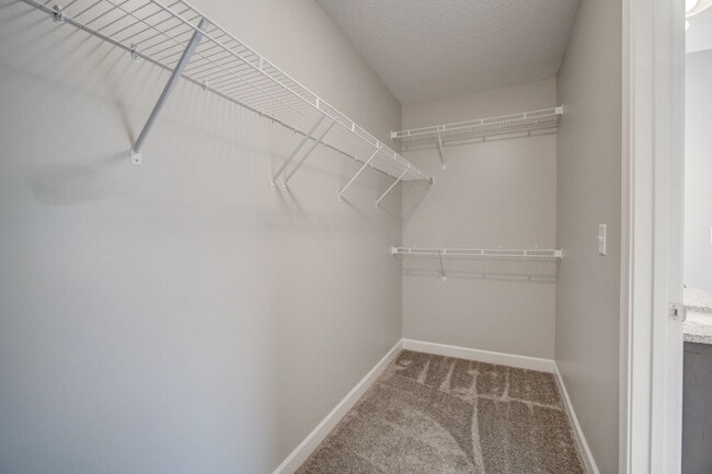 Building Photo - 732 Shelburne Ln