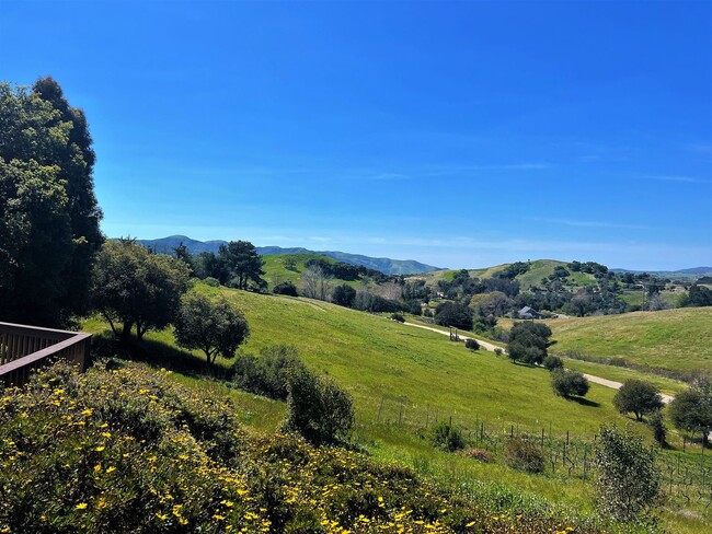 Building Photo - Spectacular Ranch House With Amazing Views!