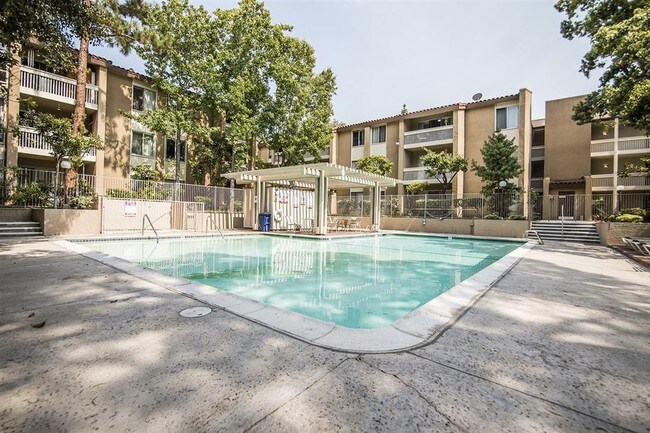 Pool - 1775 Diamond St